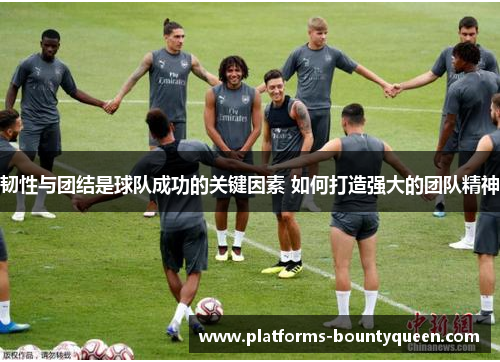 韧性与团结是球队成功的关键因素 如何打造强大的团队精神