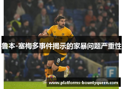 鲁本-塞梅多事件揭示的家暴问题严重性